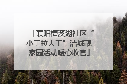 襄阳檀溪湖社区“小手拉大手”洁城靓家园活动暖心收官