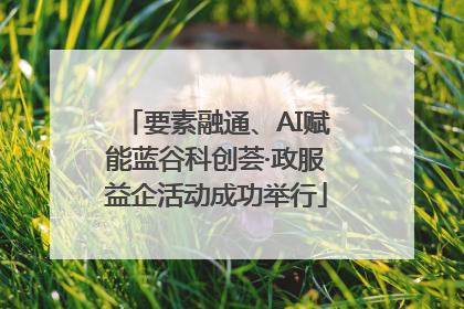 要素融通、AI赋能蓝谷科创荟·政服益企活动成功举行