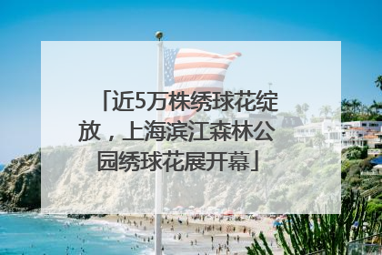 近5万株绣球花绽放，上海滨江森林公园绣球花展开幕
