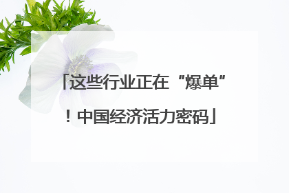 这些行业正在“爆单”！中国经济活力密码