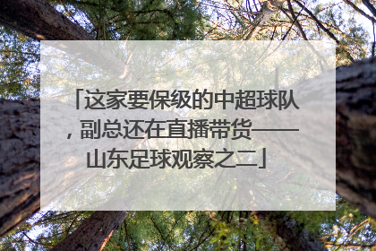 这家要保级的中超球队，副总还在直播带货——山东足球观察之二