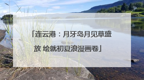 连云港：月牙岛月见草盛放 绘就初夏浪漫画卷