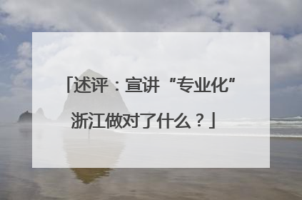 述评：宣讲“专业化” 浙江做对了什么？