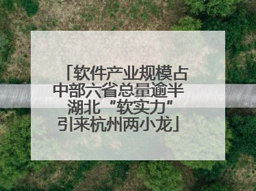 软件产业规模占中部六省总量逾半 湖北“软实力”引来杭州两小龙