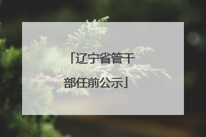 辽宁省管干部任前公示