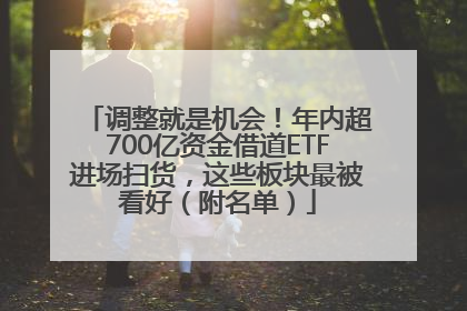 调整就是机会！年内超700亿资金借道ETF进场扫货，这些板块最被看好（附名单）