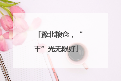 豫北粮仓，“丰”光无限好