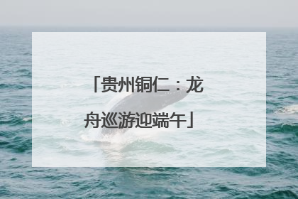 贵州铜仁：龙舟巡游迎端午