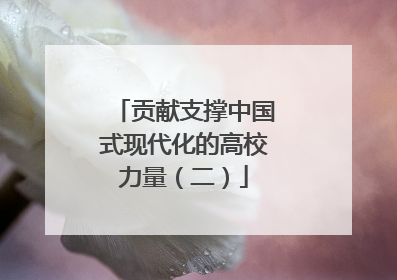 贡献支撑中国式现代化的高校力量（二）
