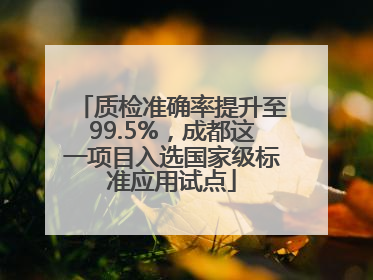 质检准确率提升至99.5%，成都这一项目入选国家级标准应用试点
