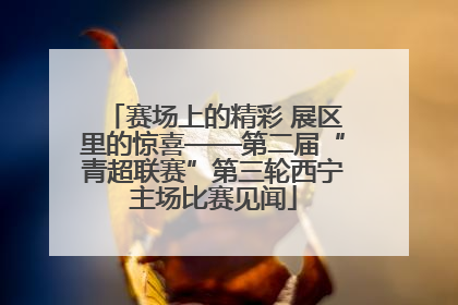 赛场上的精彩 展区里的惊喜——第二届“青超联赛”第三轮西宁主场比赛见闻
