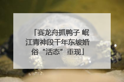 赛龙舟抓鸭子 岷江青神段千年东坡婚俗“活态”重现