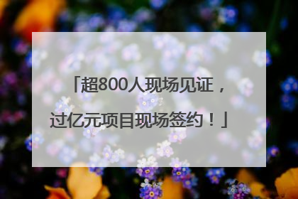 超800人现场见证，过亿元项目现场签约！