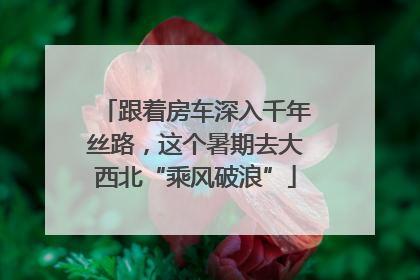 跟着房车深入千年丝路，这个暑期去大西北“乘风破浪”