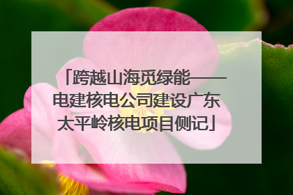 跨越山海觅绿能——电建核电公司建设广东太平岭核电项目侧记