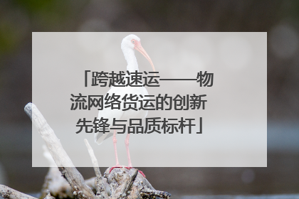 跨越速运——物流网络货运的创新先锋与品质标杆