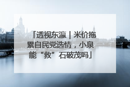 透视东瀛｜米价拖累自民党选情，小泉能“救”石破茂吗