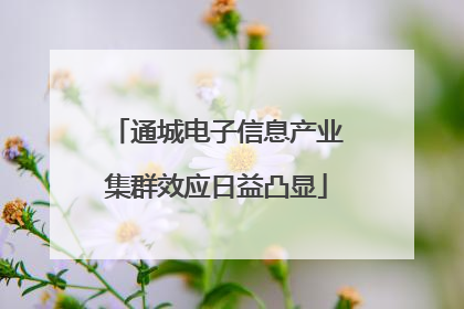 通城电子信息产业集群效应日益凸显