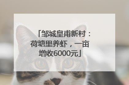 邹城皇甫新村：荷塘里养虾，一亩增收6000元