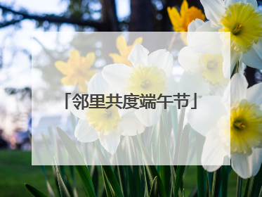 邻里共度端午节