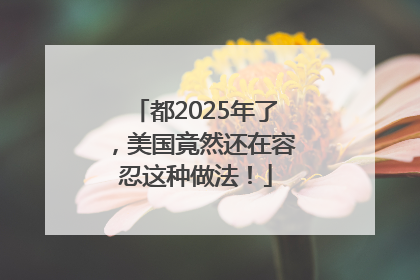 都2025年了，美国竟然还在容忍这种做法！