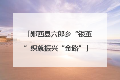 郧西县六郎乡“银茧”织就振兴“金路”
