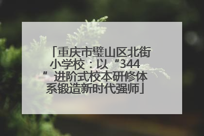 重庆市璧山区北街小学校：以“344”进阶式校本研修体系锻造新时代强师