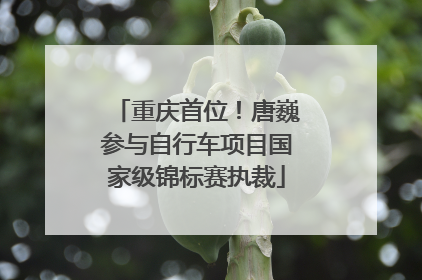 重庆首位！唐巍参与自行车项目国家级锦标赛执裁
