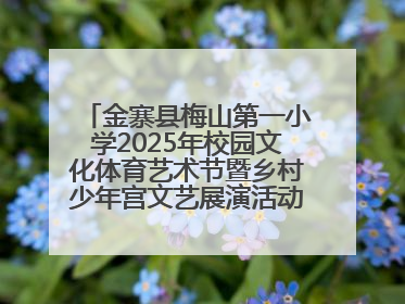 金寨县梅山第一小学2025年校园文化体育艺术节暨乡村少年宫文艺展演活动圆满落幕