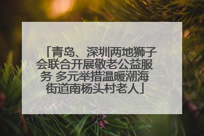 青岛、深圳两地狮子会联合开展敬老公益服务 多元举措温暖潮海街道南杨头村老人