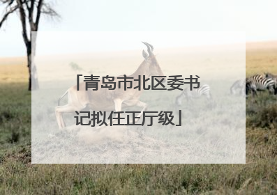 青岛市北区委书记拟任正厅级