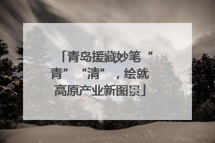 青岛援藏妙笔“青”“清”，绘就高原产业新图景