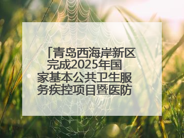 青岛西海岸新区完成2025年国家基本公共卫生服务疾控项目暨医防融合督导工作