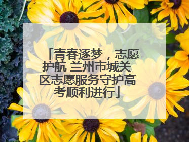 青春逐梦，志愿护航 兰州市城关区志愿服务守护高考顺利进行