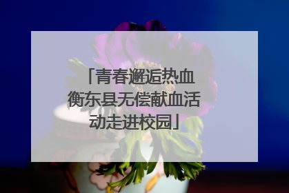 青春邂逅热血 衡东县无偿献血活动走进校园