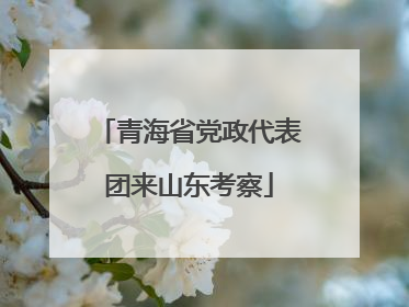 青海省党政代表团来山东考察