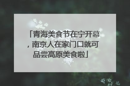 青海美食节在宁开幕，南京人在家门口就可品尝高原美食啦