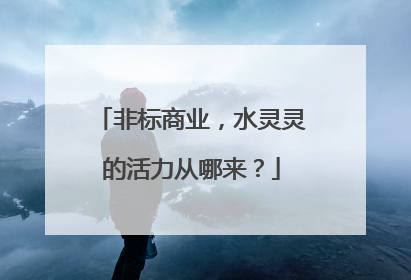 非标商业，水灵灵的活力从哪来？