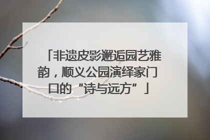 非遗皮影邂逅园艺雅韵，顺义公园演绎家门口的“诗与远方”