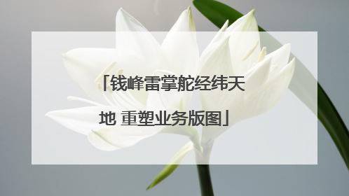钱峰雷掌舵经纬天地 重塑业务版图