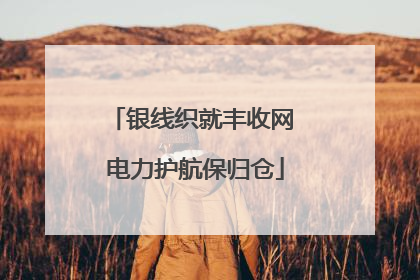 银线织就丰收网 电力护航保归仓