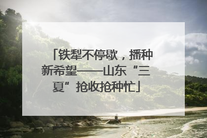 铁犁不停歇，播种新希望——山东“三夏”抢收抢种忙