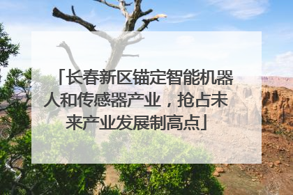 长春新区锚定智能机器人和传感器产业，抢占未来产业发展制高点