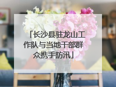 长沙县驻龙山工作队与当地干部群众携手防汛