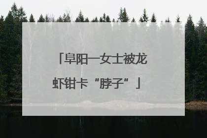 阜阳一女士被龙虾钳卡“脖子”