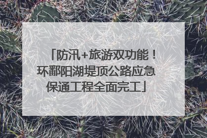防汛+旅游双功能！环鄱阳湖堤顶公路应急保通工程全面完工