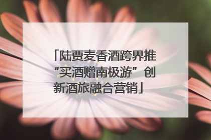 陆贾麦香酒跨界推“买酒赠南极游”创新酒旅融合营销