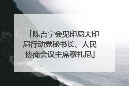陈吉宁会见印尼大印尼行动党秘书长、人民协商会议主席穆扎尼