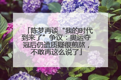 陈梦再谈“我的时代到来了”争议：奥运夺冠后仍遭质疑很煎熬，不敢再这么说了