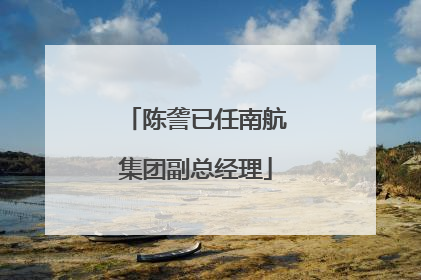 陈詟已任南航集团副总经理